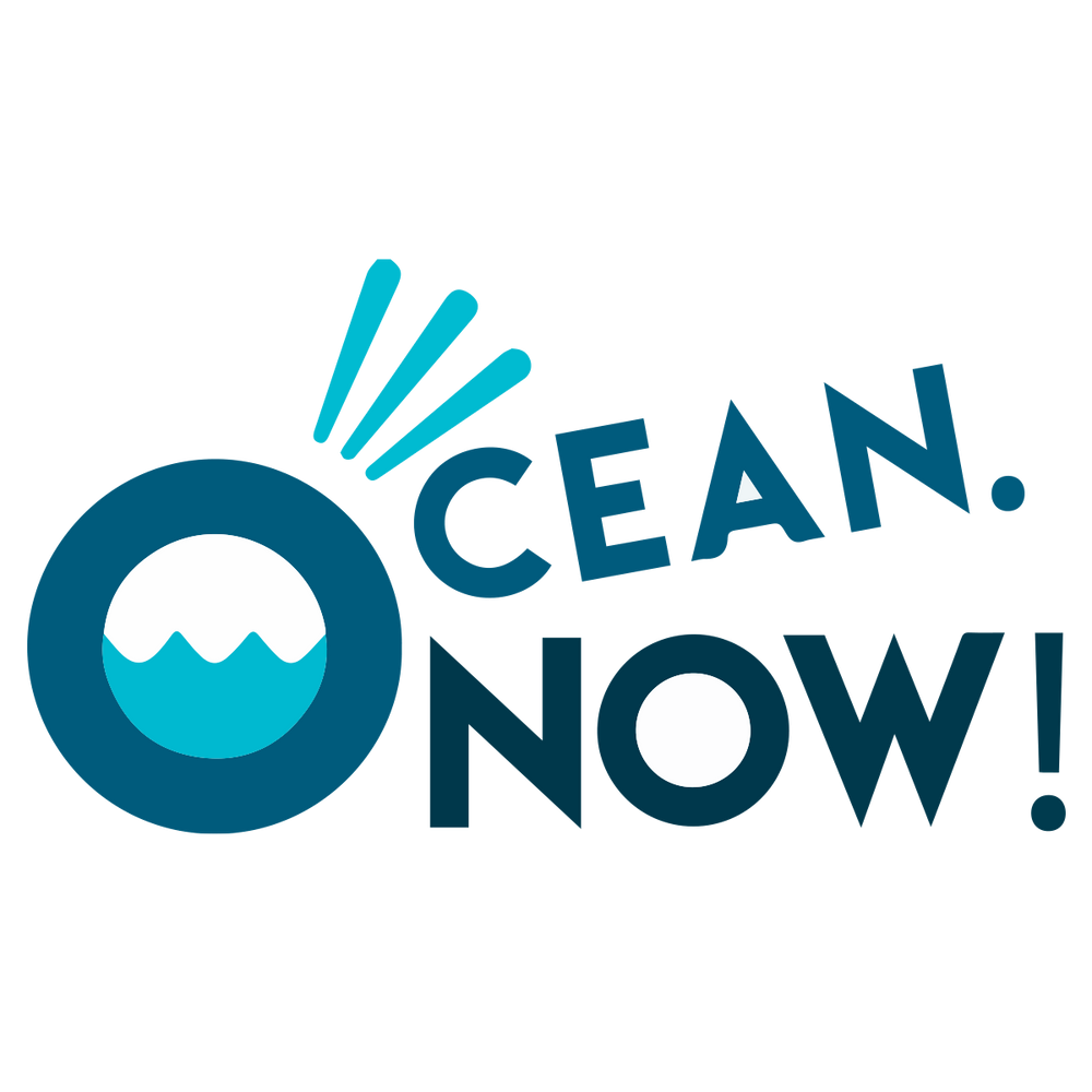 Ocean Now! Logo
