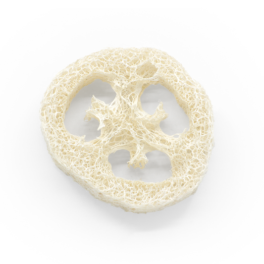 Loofah disc