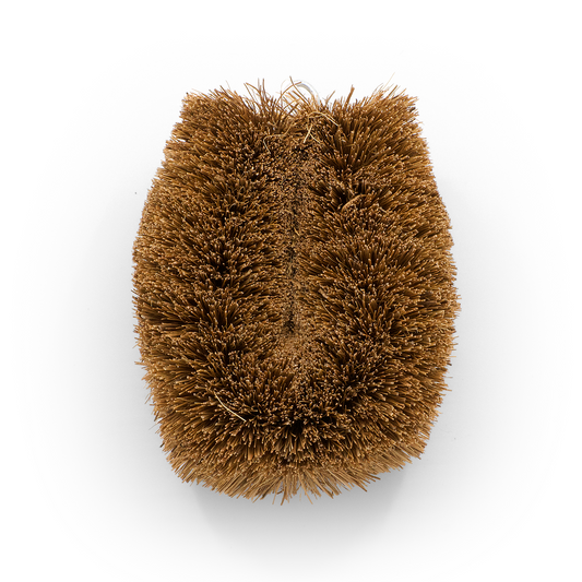 Vegetable brush from coconut