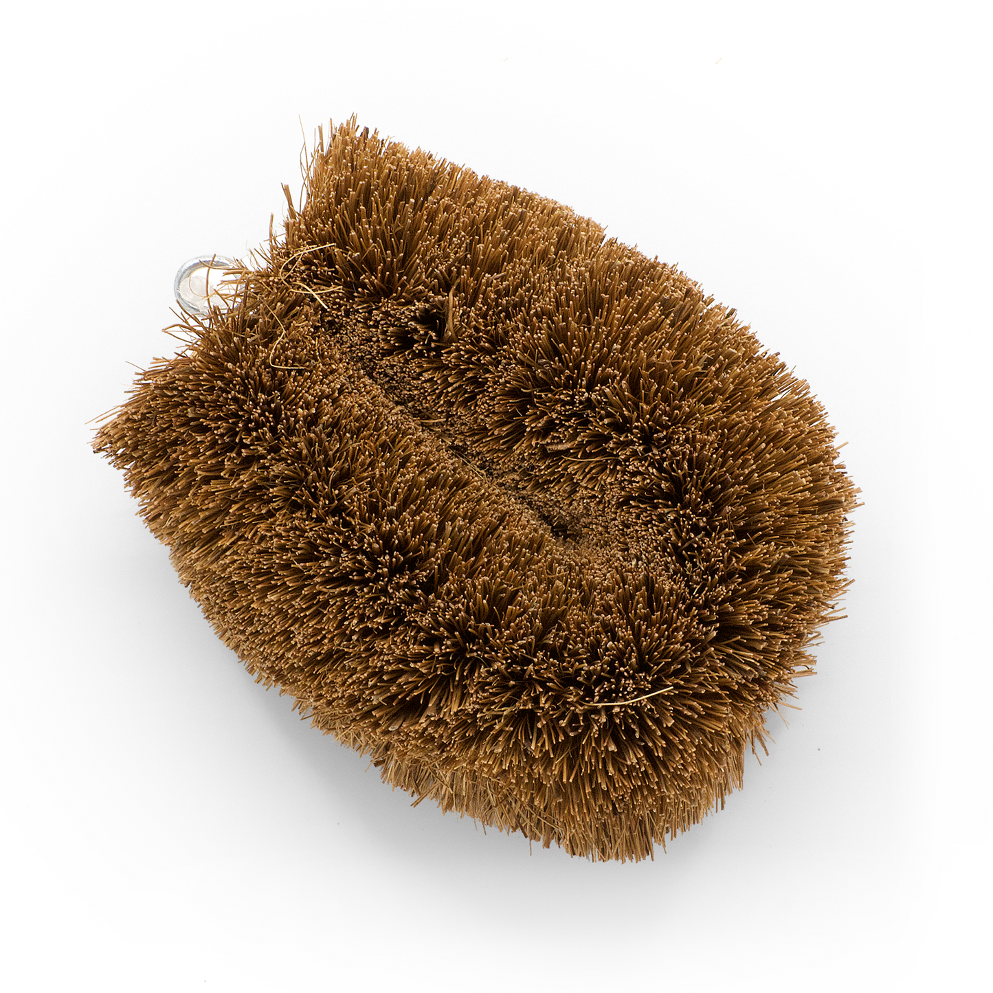 Vegetable brush from coconut